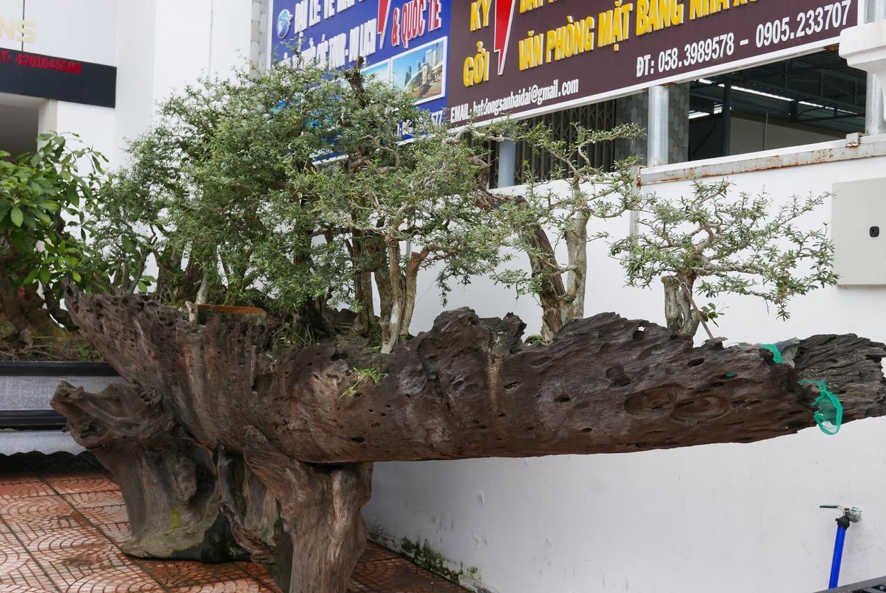 Allure Hotel Thuy Trieu Exterior foto